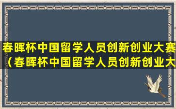 春晖杯中国留学人员创新创业大赛（春晖杯中国留学人员创新创业大赛 往年获奖项目）